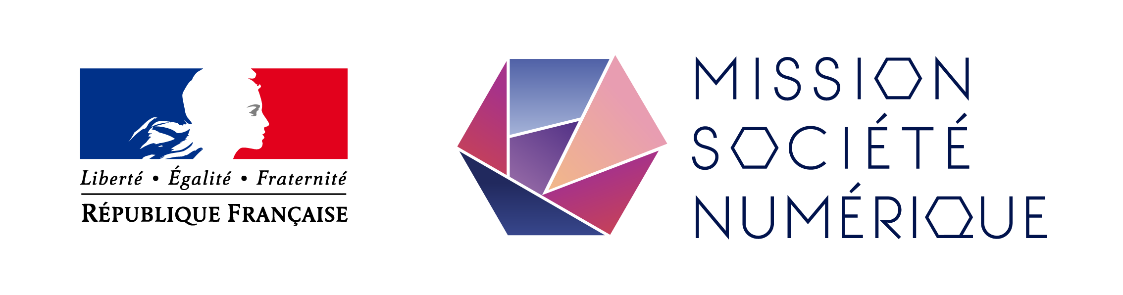 Mission Société Numérique